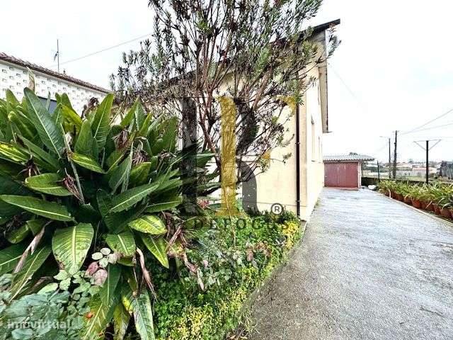 Moradia T3 Térrea e Isolada em Ovar - Grande imagem: 5/21