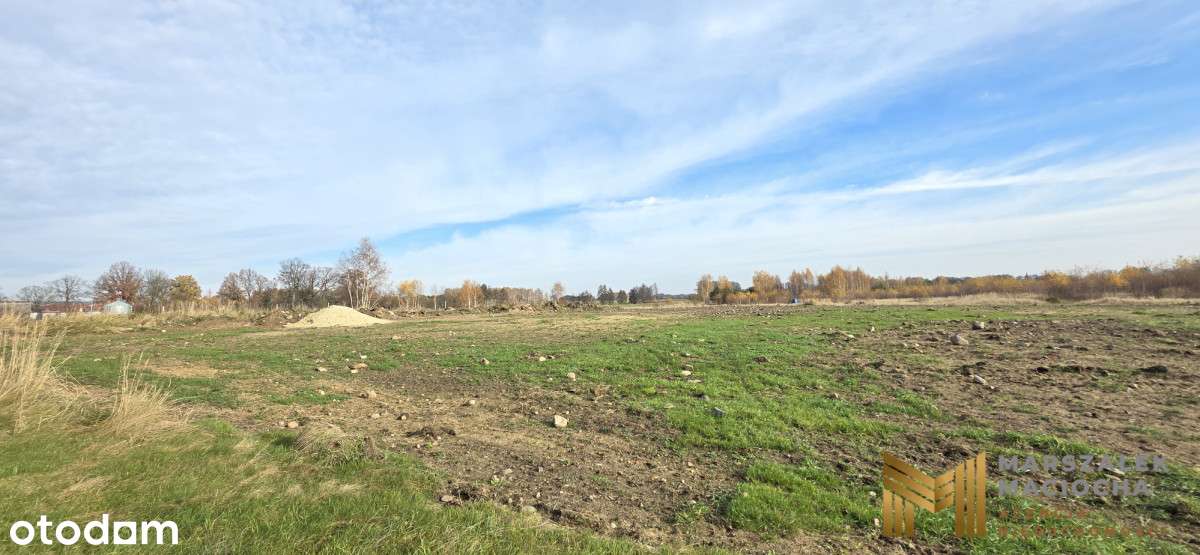 Działka budowlana Kliszów 3000 m2 - Pełny obrazek: 4/5