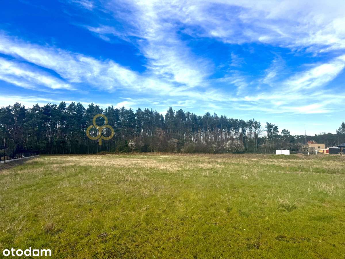 działka budowlana koło lasu - Pełny obrazek: 3/3