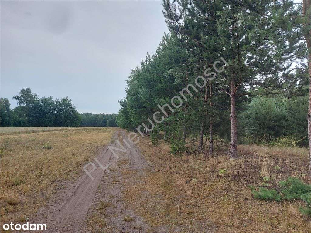 Działka Budowlana W Głuszy Rezerwatu-8