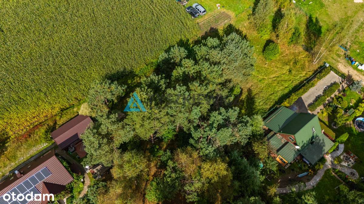 Działka rekreacyjna Stara Sikorska Huta - Pełny obrazek: 5/14