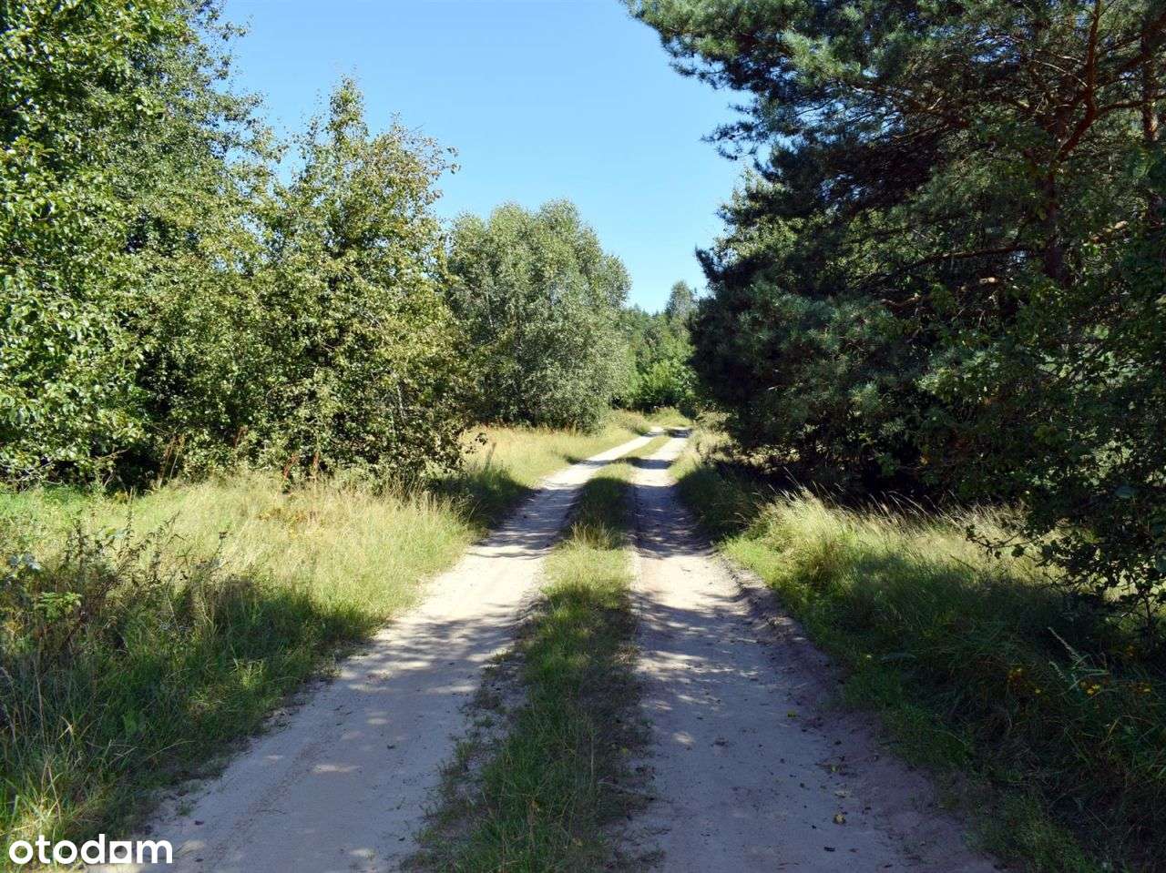 Działka rolna - Ostroróg-5