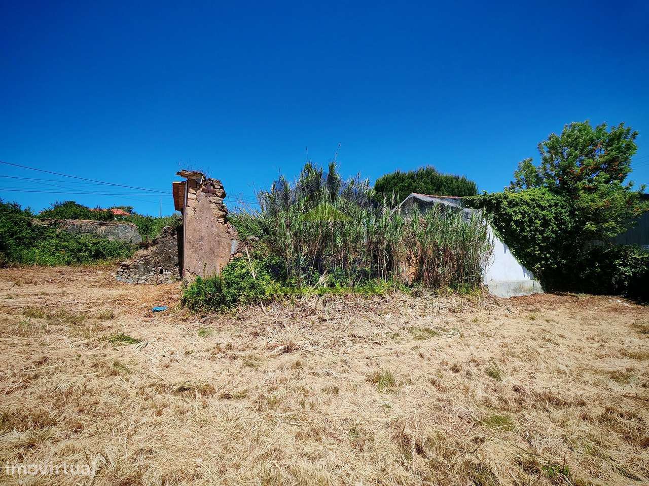 Terreno para Construção Delgada - Bombarral-12