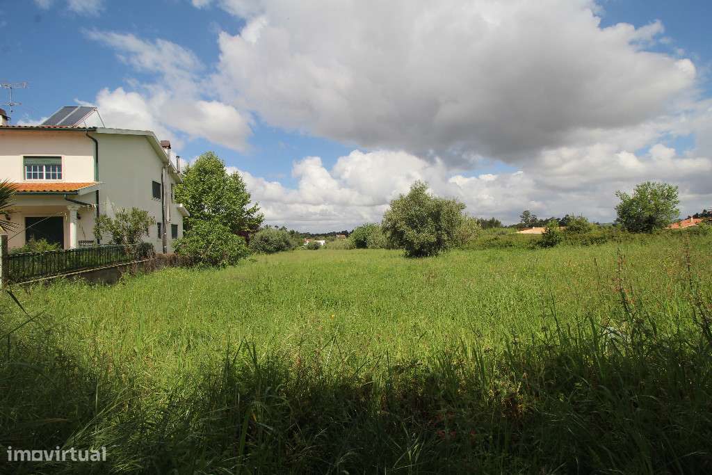 Terreno plano para construção de moradia em Ega, Condeixa-a-Nova - Grande imagem: 4/4