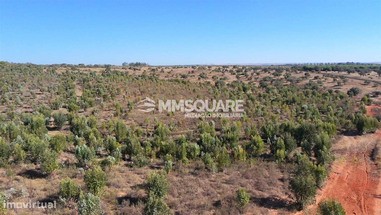 Herdade  Venda em Garvão e Santa Luzia,Ourique-32