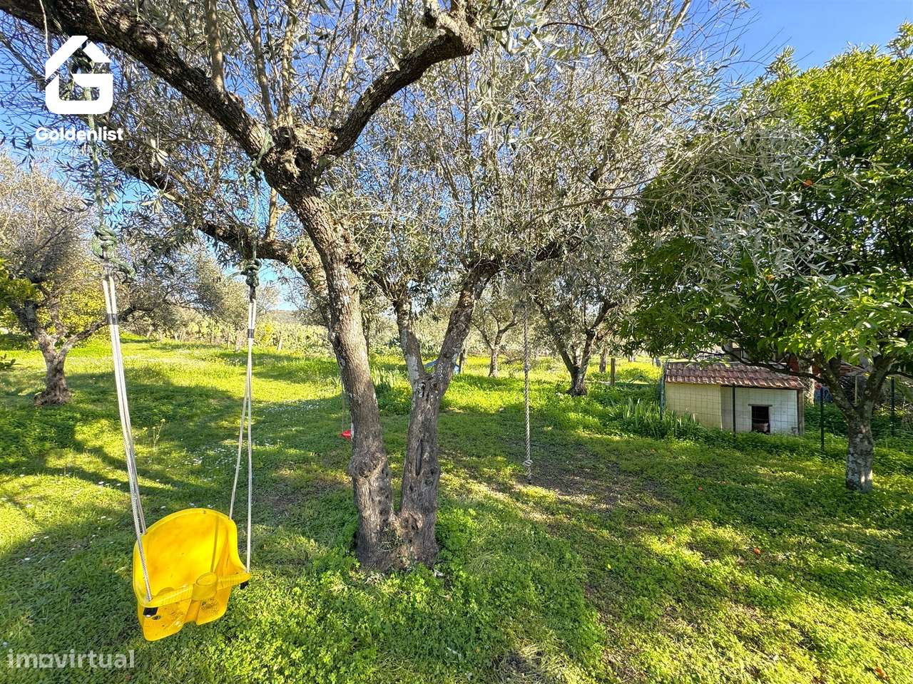 Quinta  Venda em Monforte da Beira,Castelo Branco-34