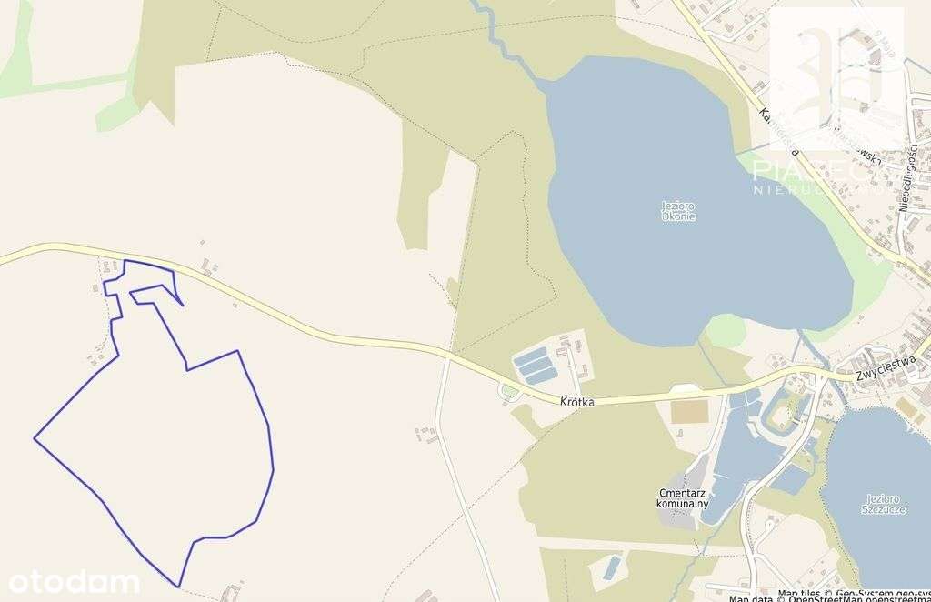 Duża działka rolna w Golczewie - 31.87 ha - Pełny obrazek: 2/8