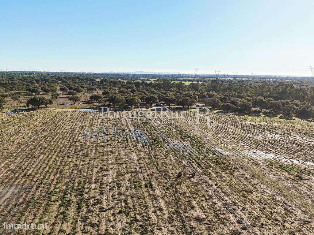 Herdade de 60 hectares para criação bovina e equina perto de Lisboa-18