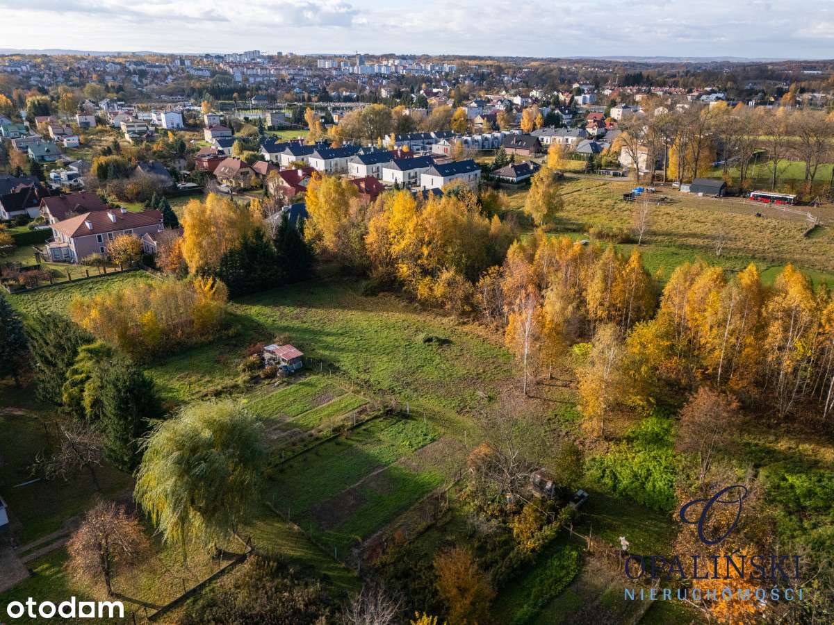 Kameralna okolica | Krakowska | WZ | Zieleń-4
