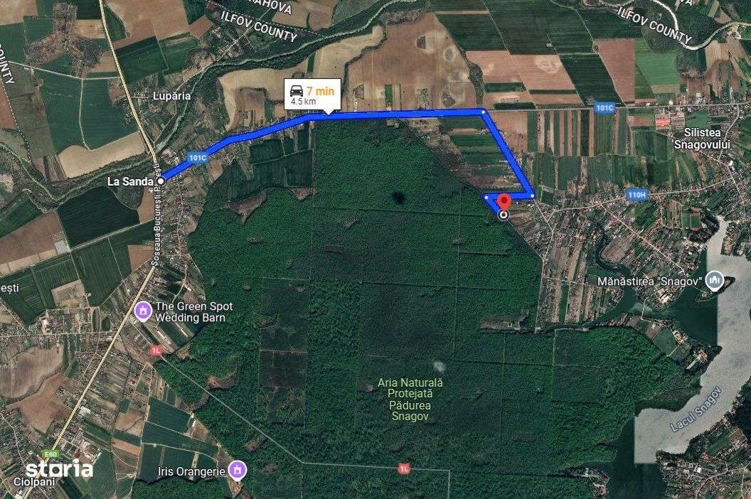 Teren intravilan 2000 mp,  Silistea Snagovului - Front PADURE - Imagine principală: 4/4