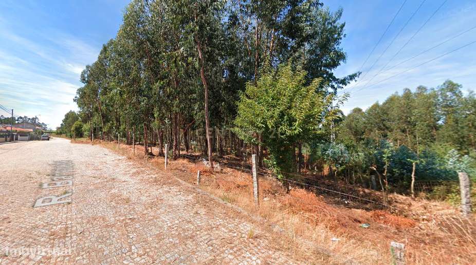 Terreno 14.275m2 - Vila Maior - Grande imagem: 5/6