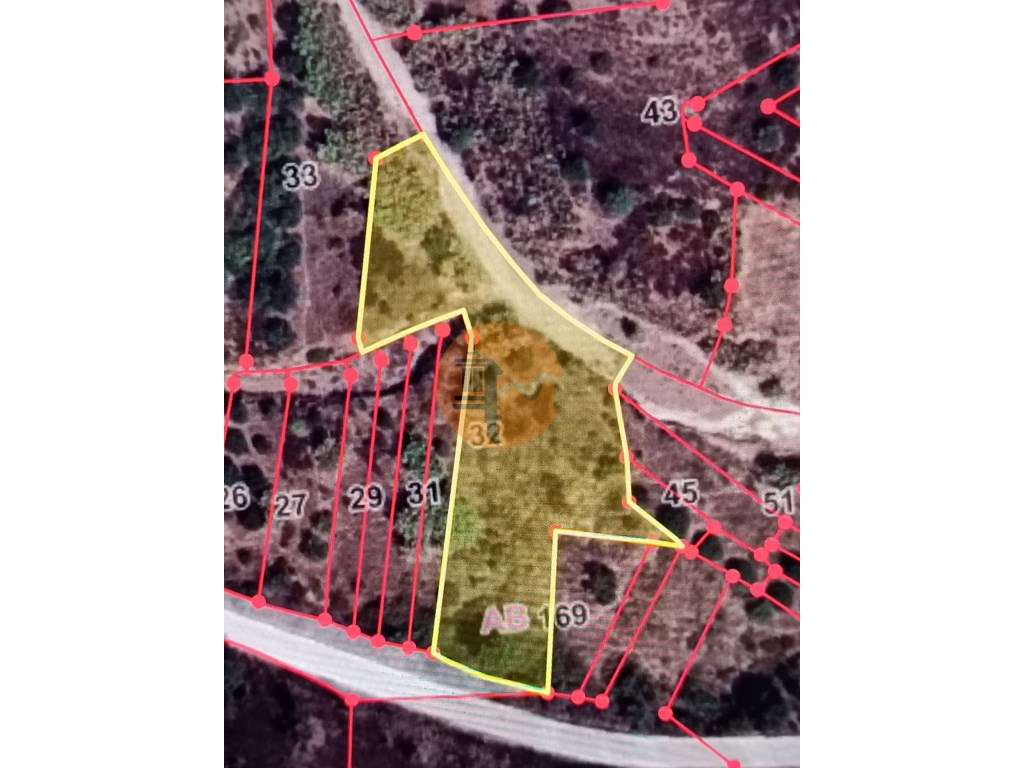 TERRENO RUSTICO COM 2.960 M2 - PLANO- NO AZINHAL EM CASTRO MARIM - ... - Grande imagem: 2/24