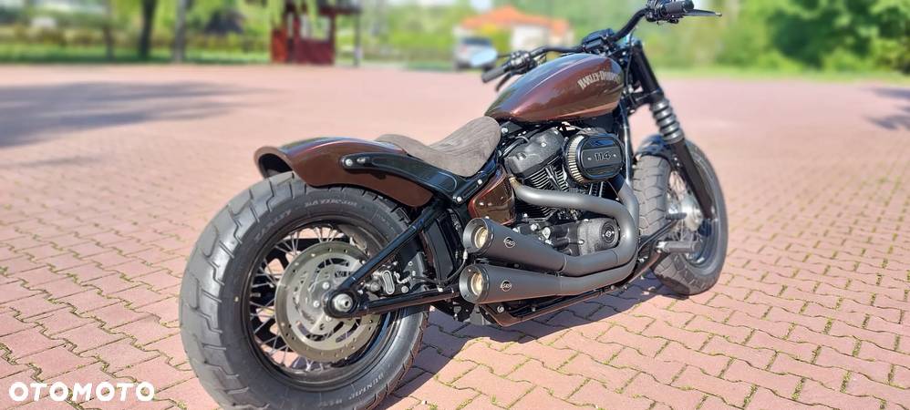 Harley-Davidson Softail - 11