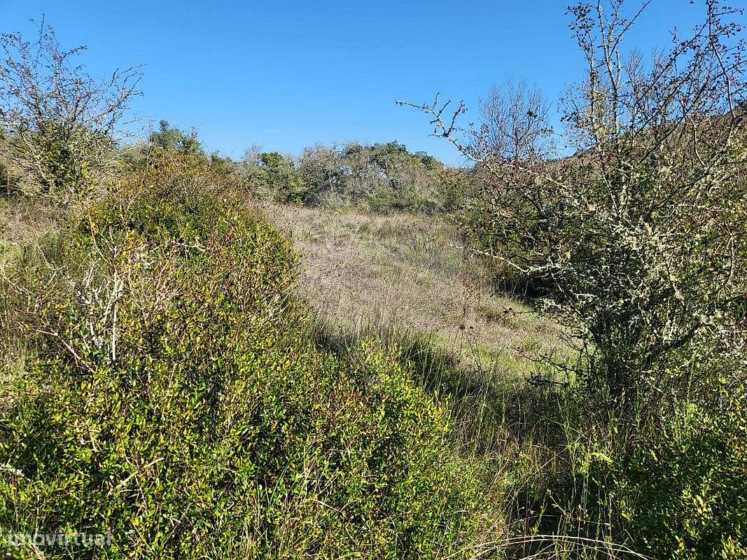 Terreno  para venda - Grande imagem: 4/9