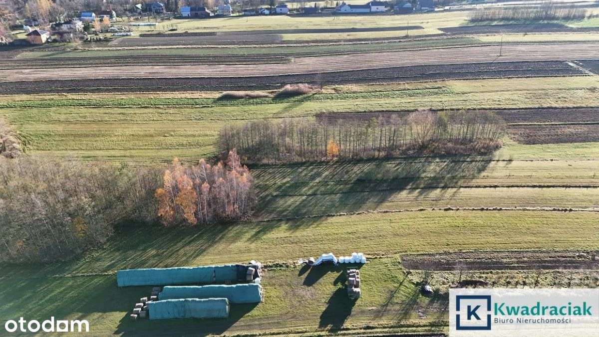 Dużą działka 0,93 ha z mediami - Nowy Żmigrodzie-14