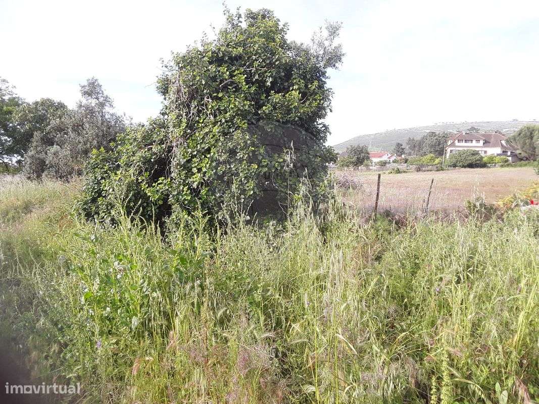 Terreno  para venda - Grande imagem: 4/5