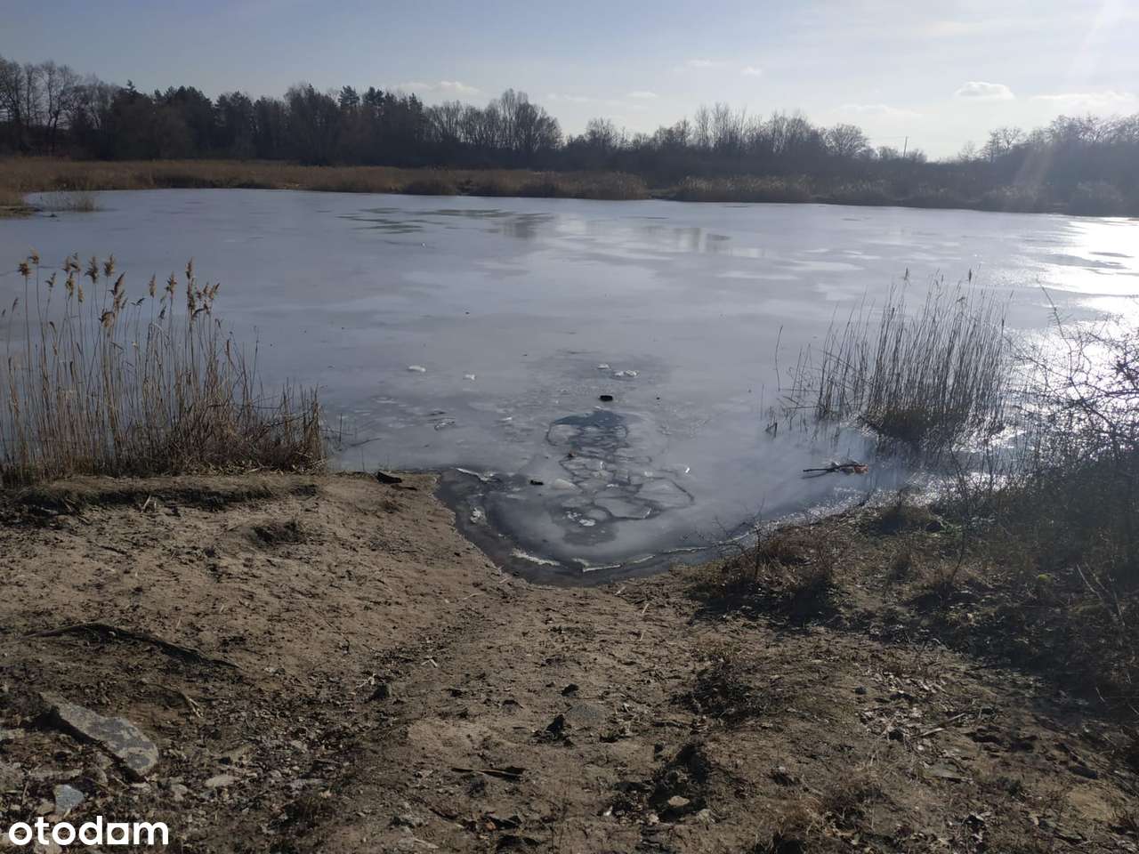 Okazja: Działka nad jeziorem w Mniszewie, ok 50 km od  Centrum W-Wy - Pełny obrazek: 4/4