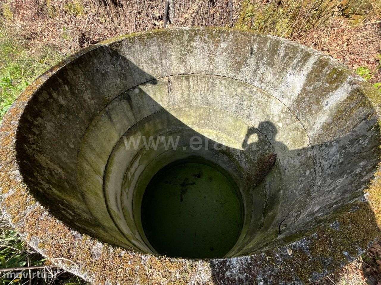 Terreno / Seia, Sameice e Santa Eulália - Grande imagem: 4/15