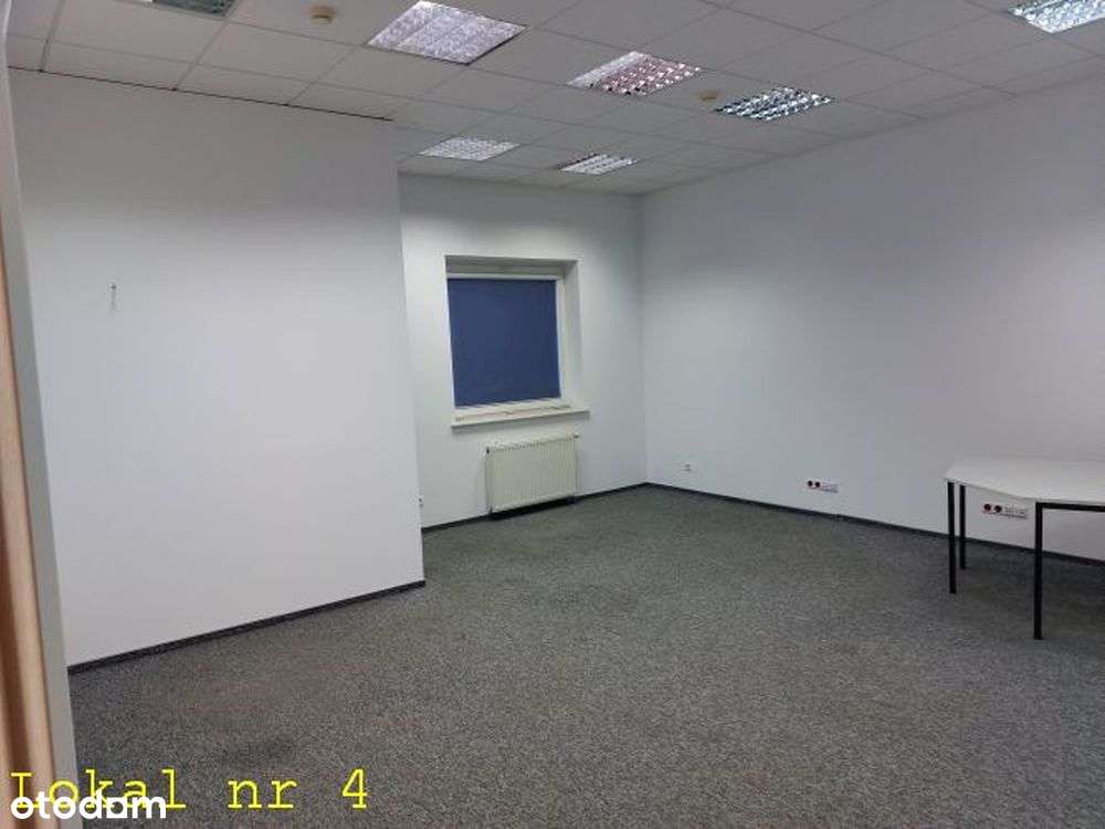 Powierzchnia biurowa na wynajem - Pełny obrazek: 4/20