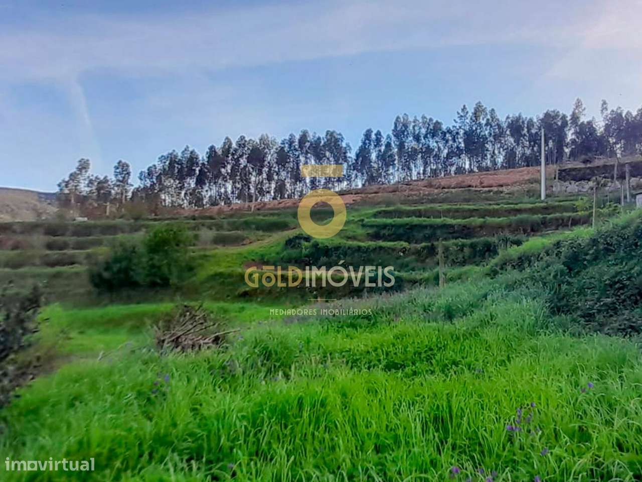 Terreno Para Construção  Venda em Real,Castelo de Paiva - Grande imagem: 4/4