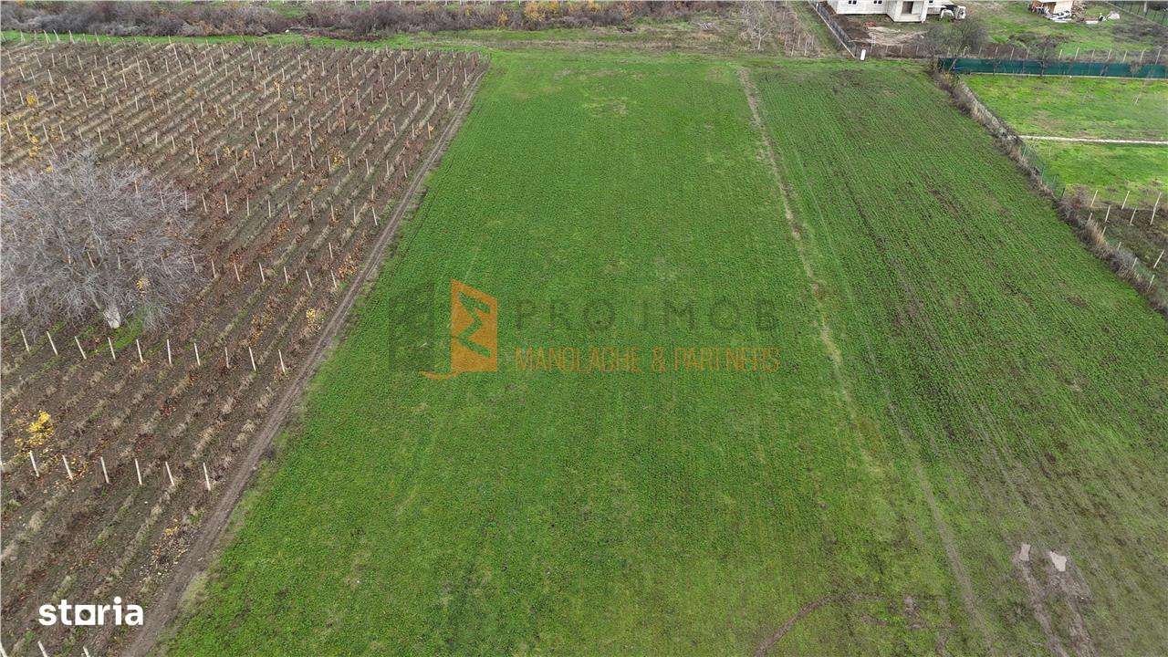 EXCLUSIVITATE! Teren intravilan in Merei Buzau - Imagine principală: 3/4