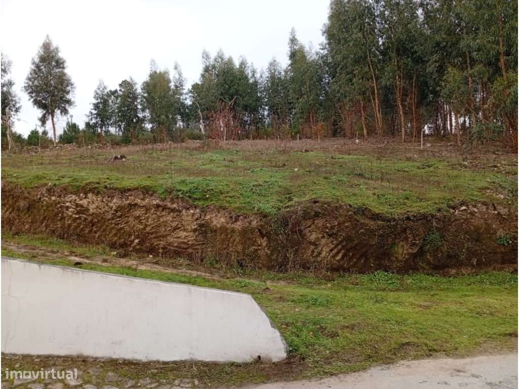 Terreno Urbanizável - Grande imagem: 4/18