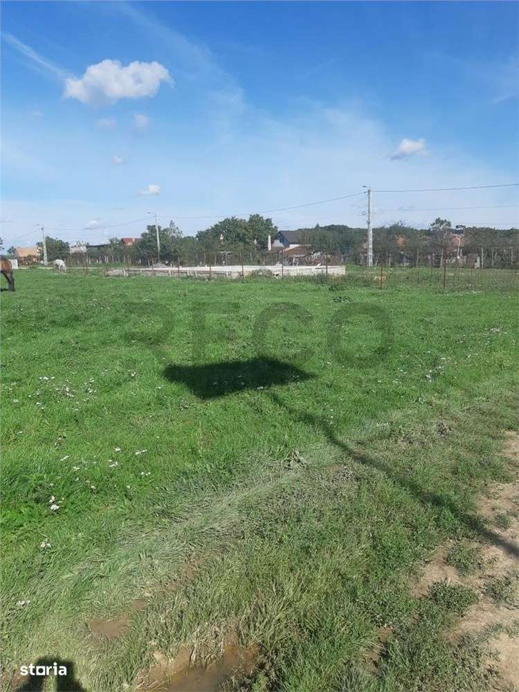 RECO Teren intravilan Marghita - Imagine principală: 5/7