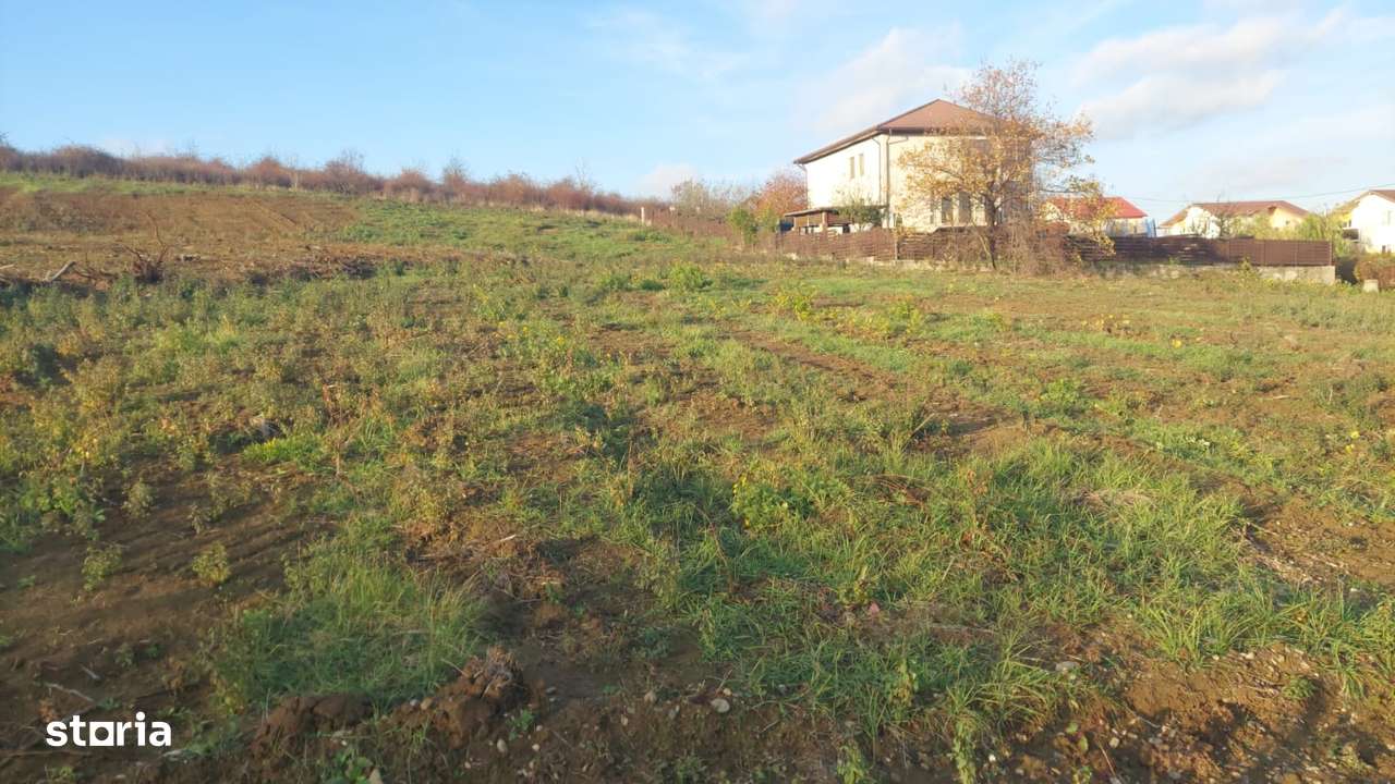 Barnova - teren de casa intravilan, 725 mp utili, peisaj frumos-0