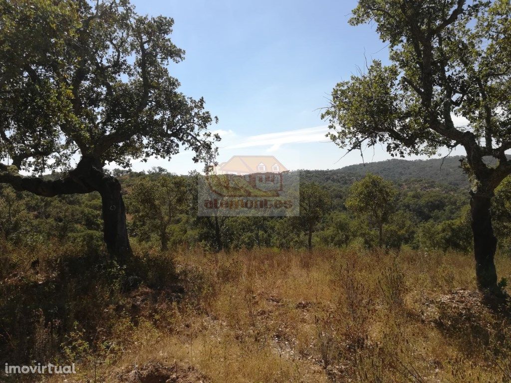 Terreno na serra de Grândola