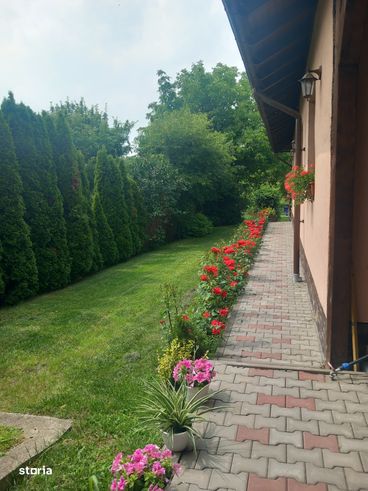 Casa pe un singur nivel,, 250 mp,teren 1260 mp in Sangiorgiu-3