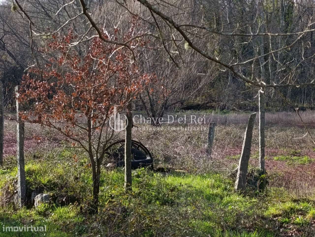 Terreno  Venda em Couto de Baixo e Couto de Cima,Viseu-11