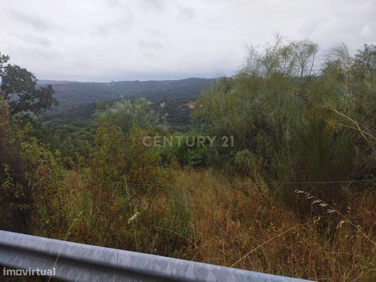 Terreno Rústico | Lousa, Castelo Branco - Grande imagem: 4/8