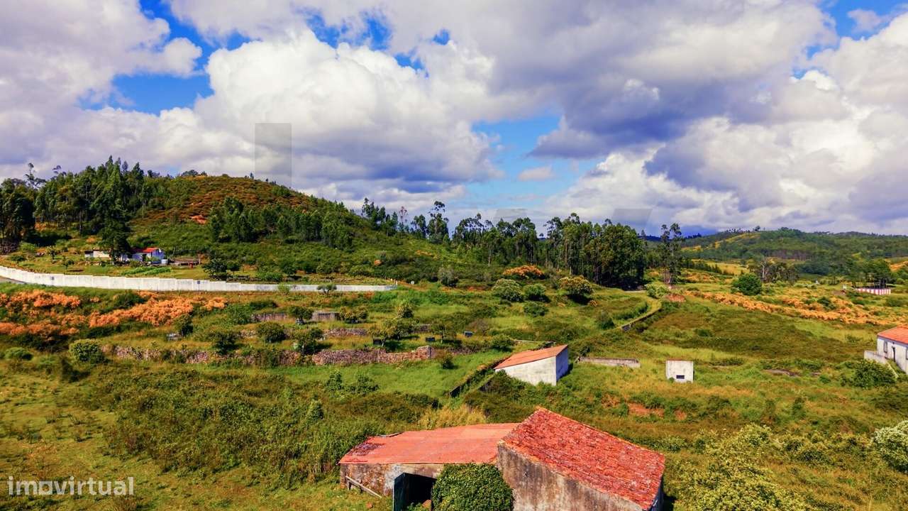 Venda Conjunta de 6 Terrenos Rústicos em Belver, Gavião – 24.360 m2 de - Grande imagem: 4/14