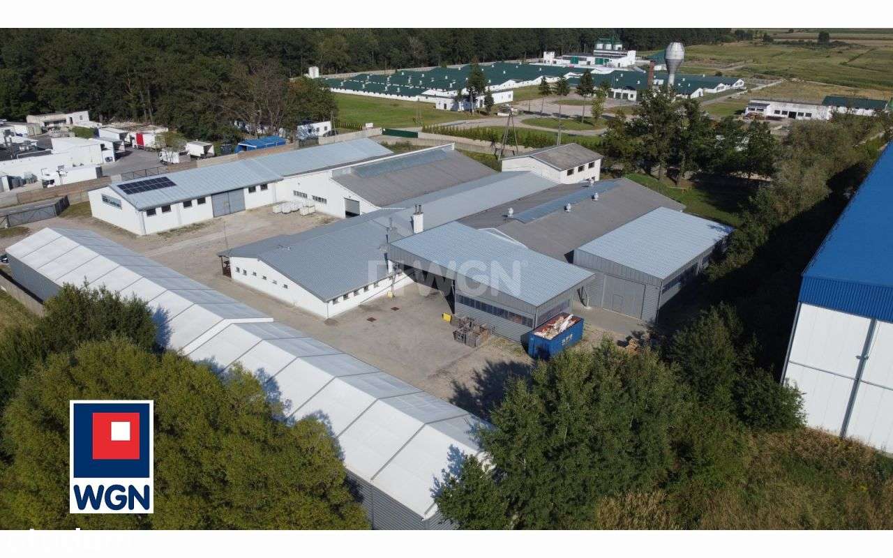 Hala/Magazyn, 4 440 m², Piotrków Trybunalski - Pełny obrazek: 3/20