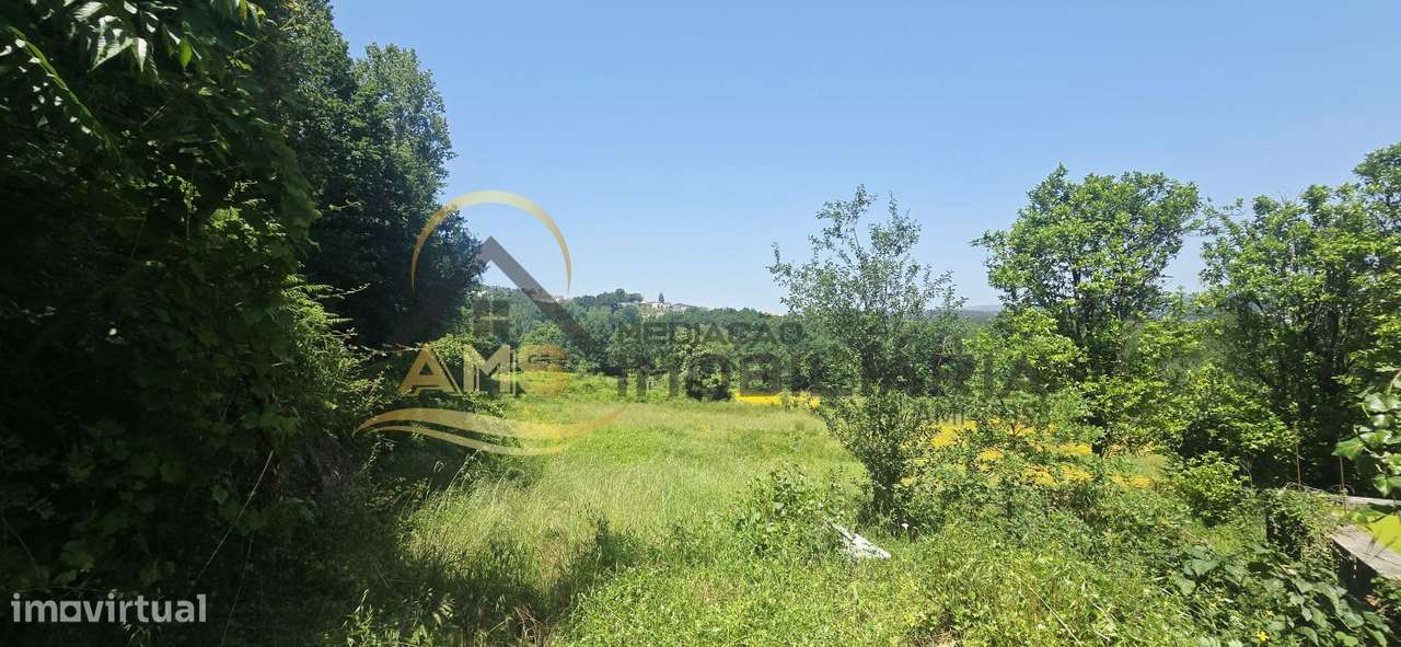 QUINTA A DOIS PAÇOS DA CIDADE COM 2,5ha-22