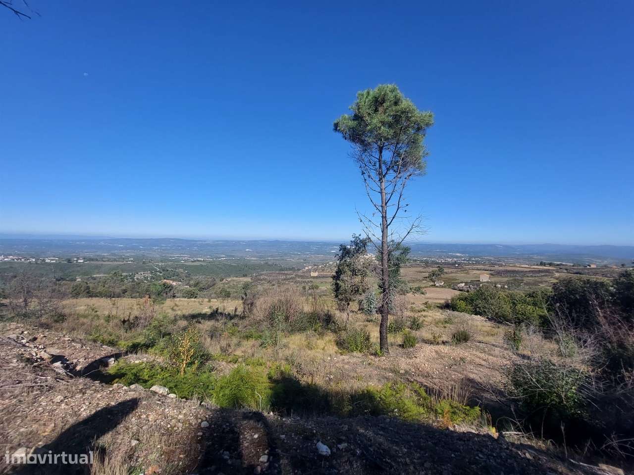 Quinta  Venda em Figueiró da Serra e Freixo da Serra,Gouveia - Grande imagem: 4/16