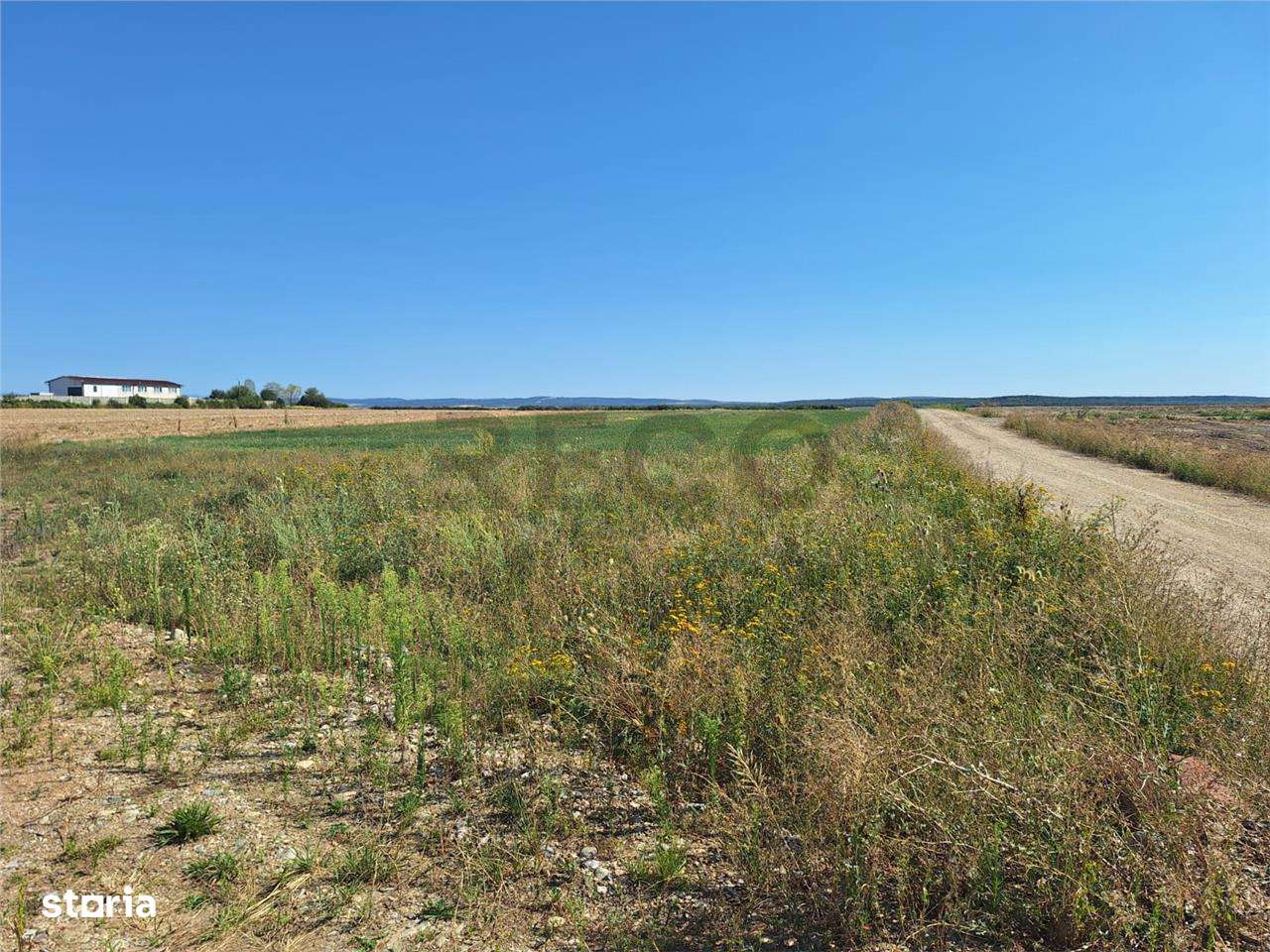 Reco, Teren intravilan Osorhei - Imagine principală: 1/7