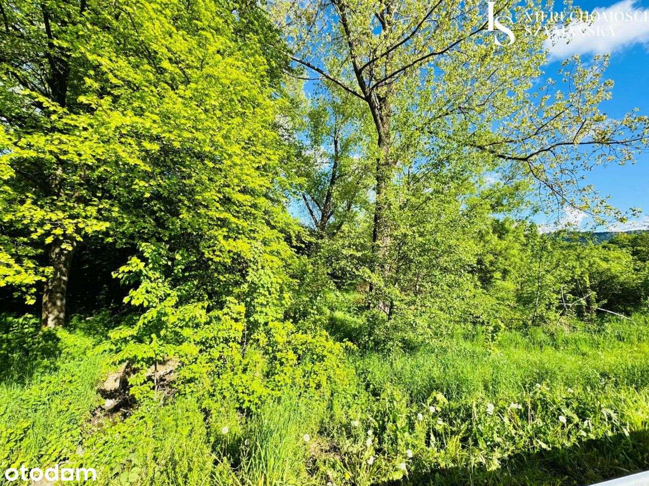 Działka Budowlana W Jurkowie – wyjątkowa lokalizac - Pełny obrazek: 5/8