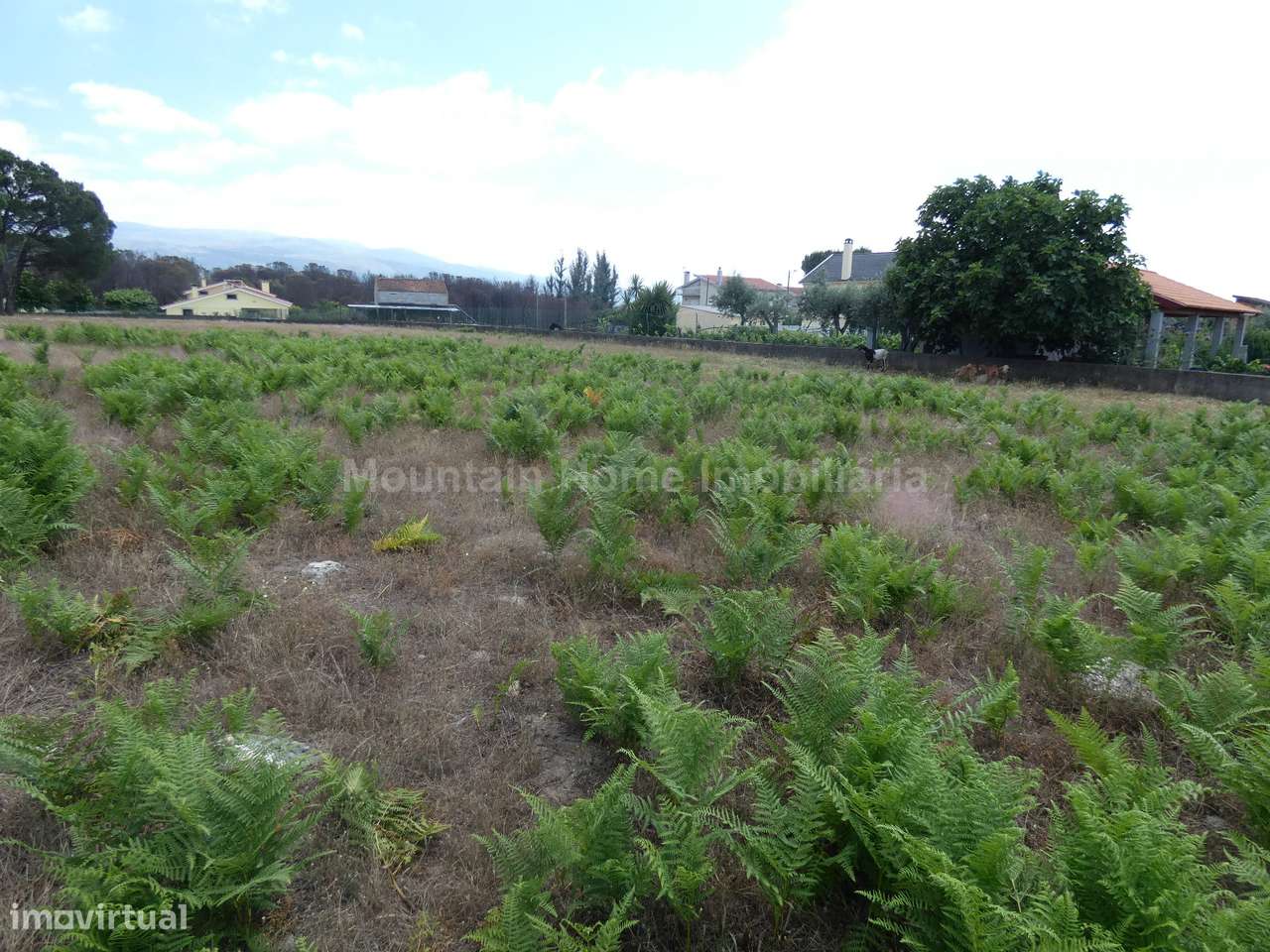 Terreno Para Construção  Venda em Tourais e Lajes,Seia - Grande imagem: 5/8