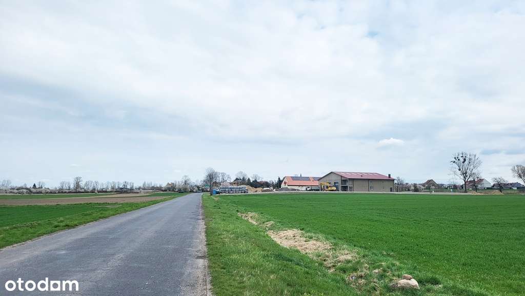 Działka | Pod inwestycję |Kostomłoty |Węzeł A4-4