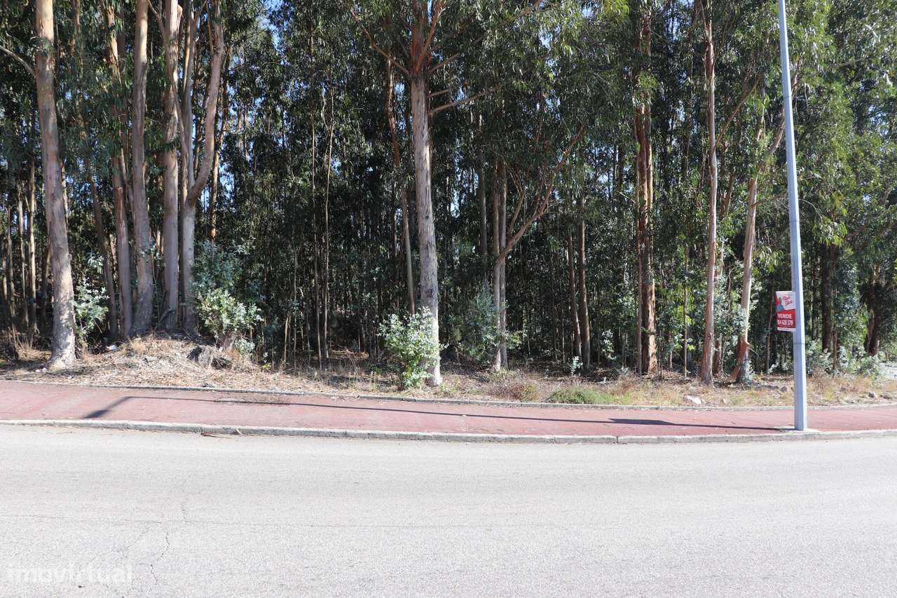 Lote Industrial  Venda em Lordelo,Paredes-5