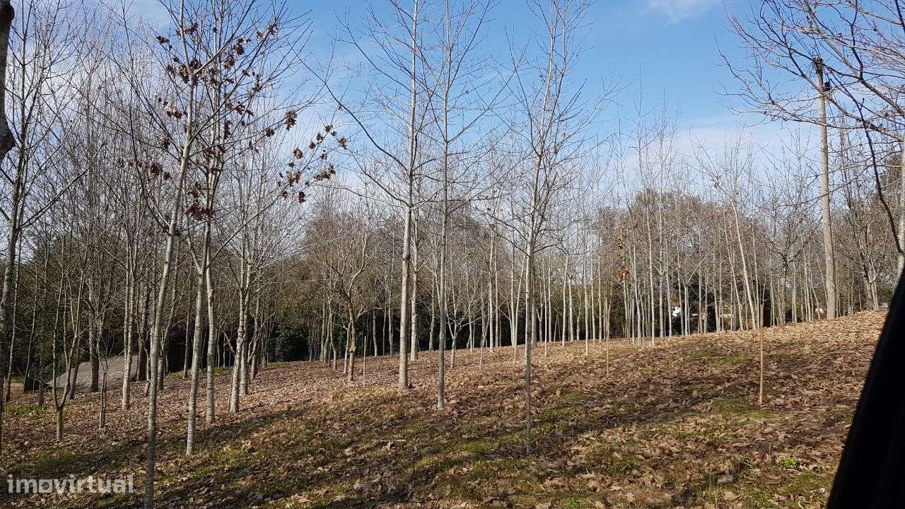 Quinta na Bairrada-14