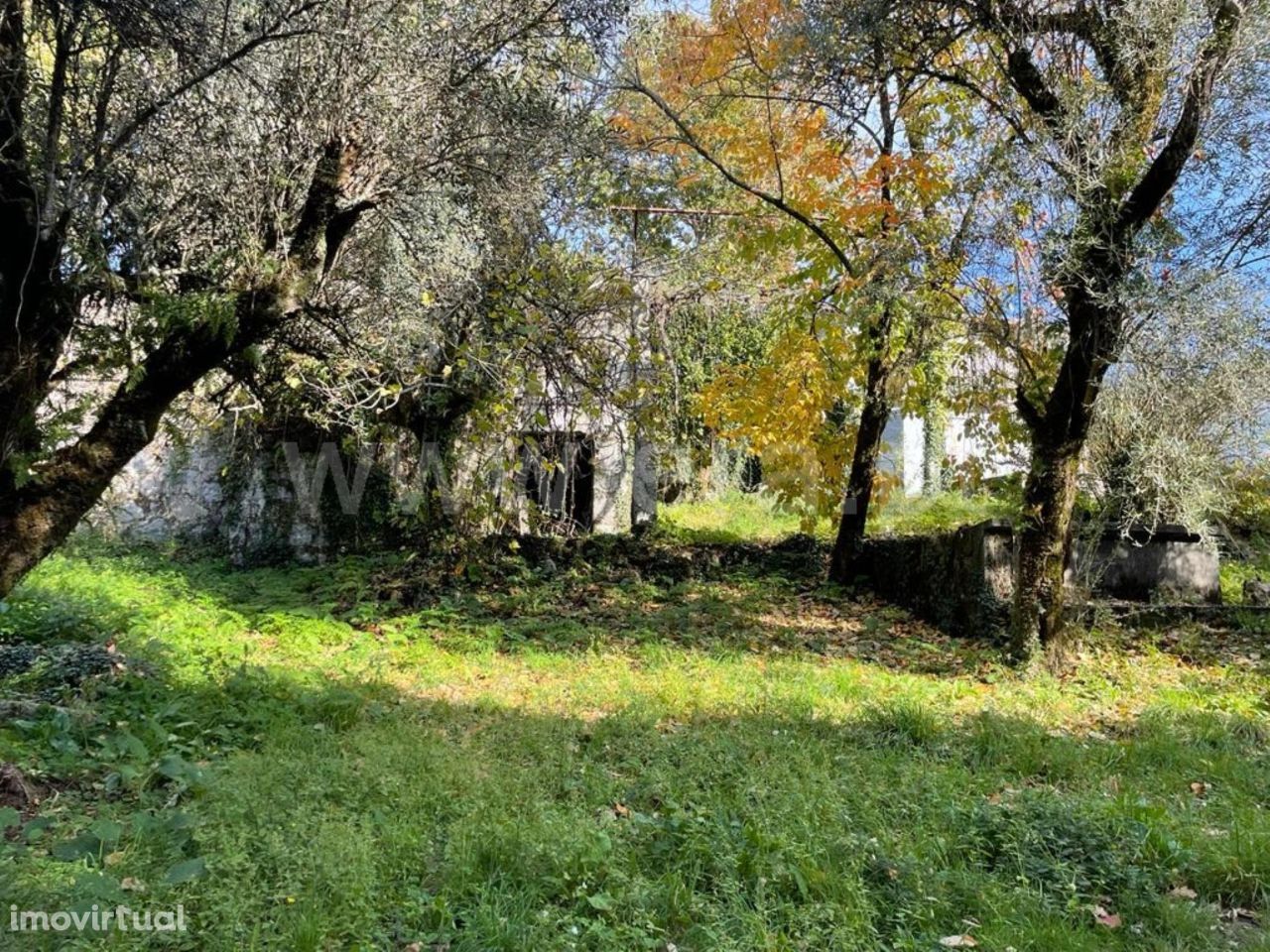 Quinta para restauro em Ribeiros - Fafe