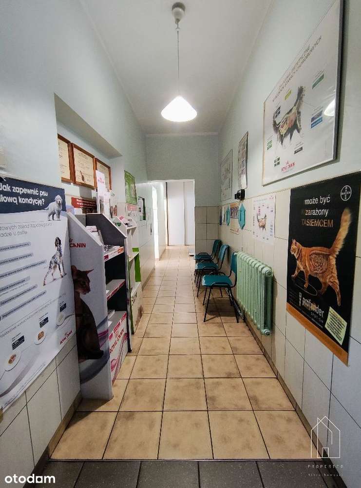 Lokal usługowy 130 m² - przychodnia weterynaryjna-5