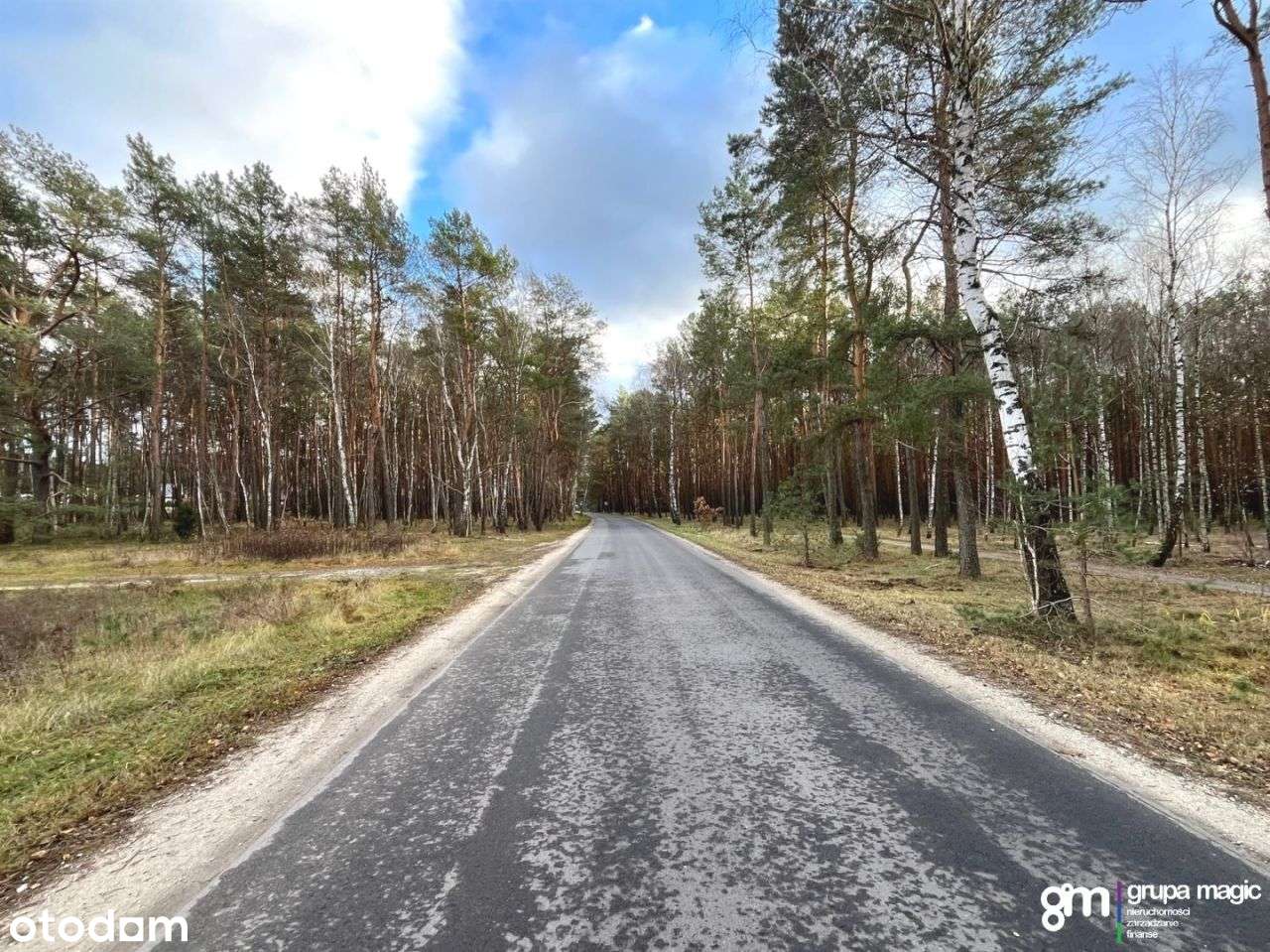 Piękne działki z Wz w eknlawie lasu Sąsieczno - Pełny obrazek: 5/17