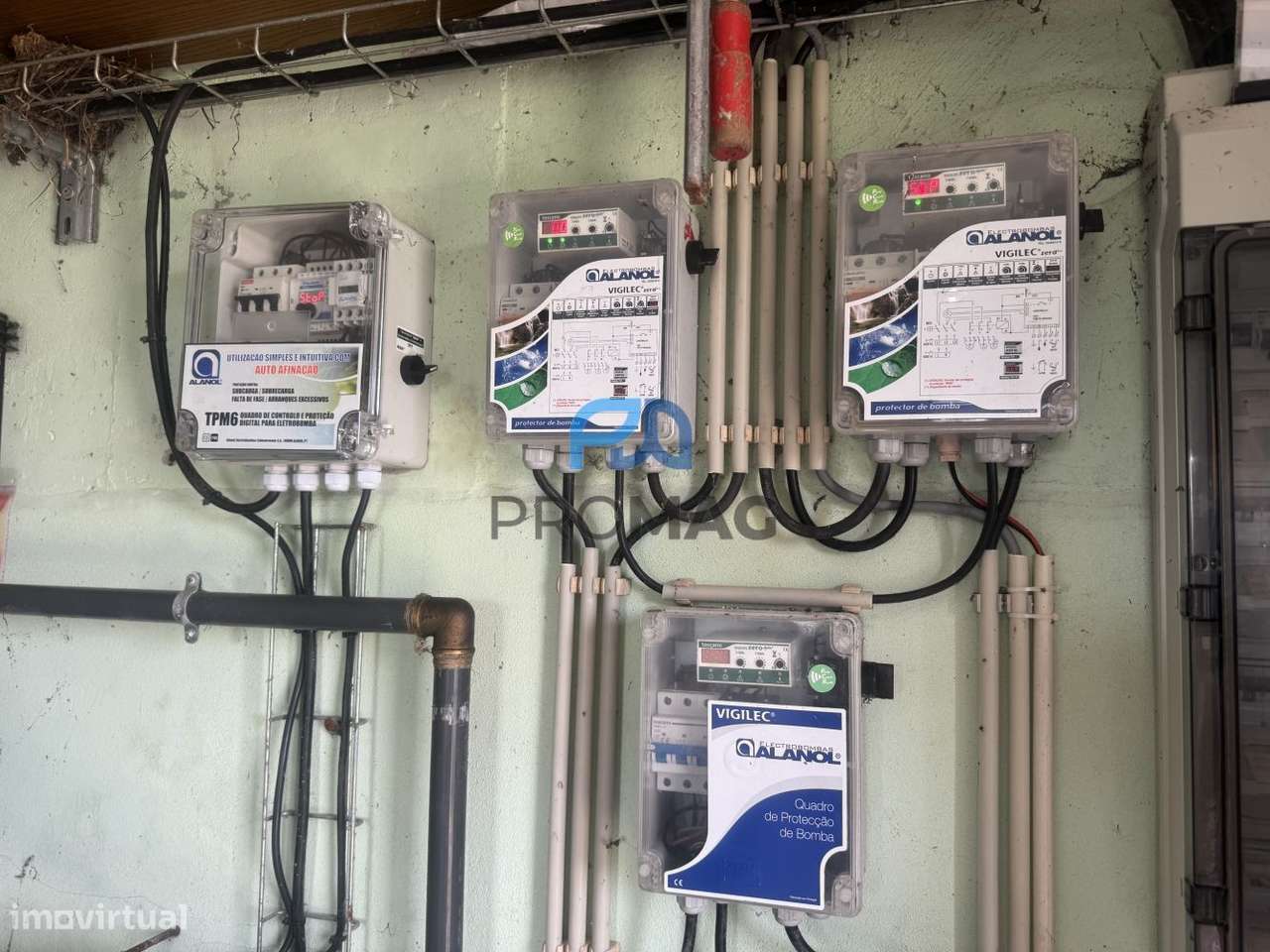 Terreno de Produção de Mirtilos - Grande imagem: 2/20