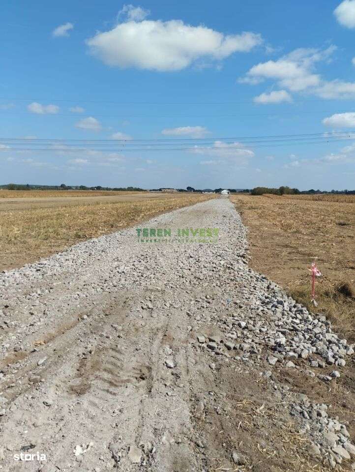 Vânzare teren industrial  – Frumușani, 10.800 mp-1