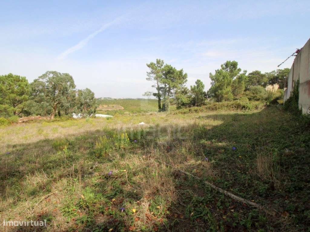 TERRENO RÚSTICO em MAFRA - Grande imagem: 4/6