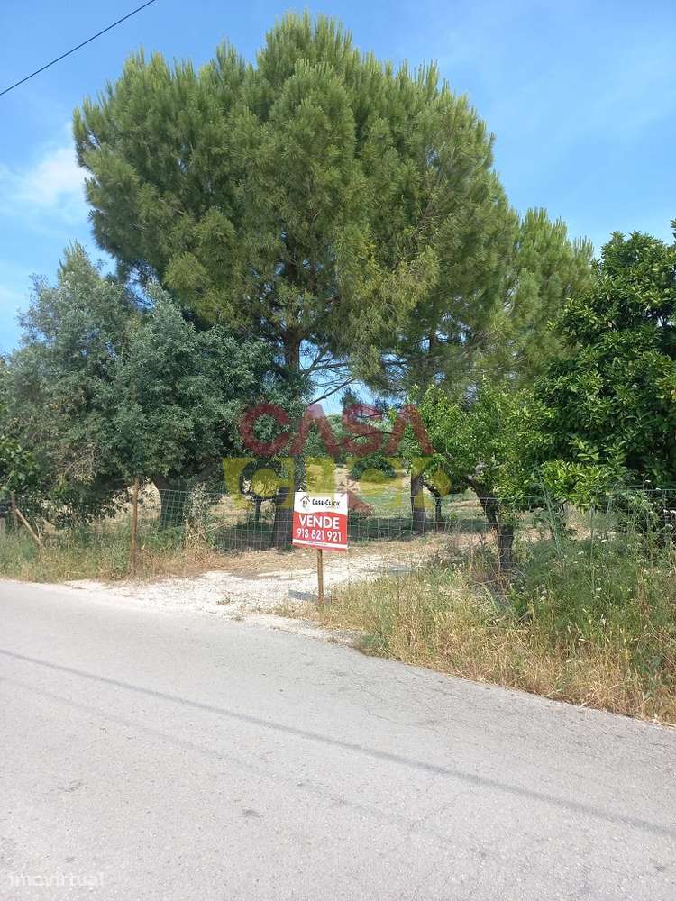 Terreno Rústico  Venda em Assentiz,Torres Novas-11