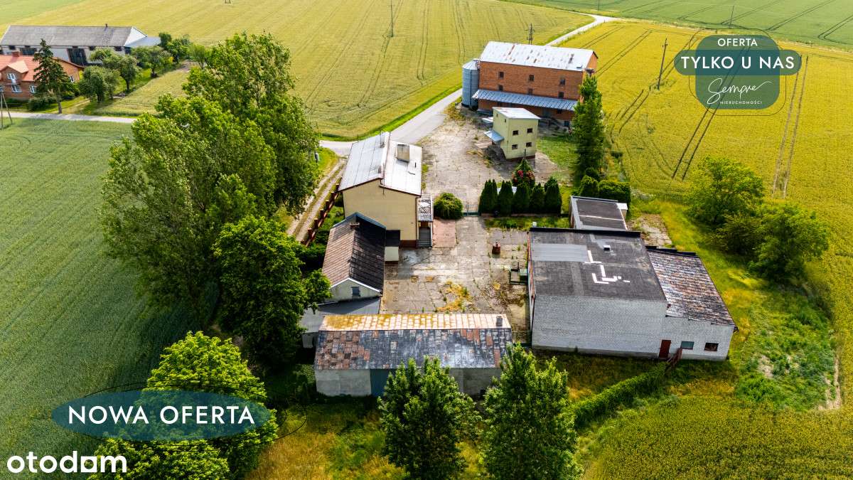 Gospodarstwo inwestycyjne przy Kutnie - Pełny obrazek: 5/20